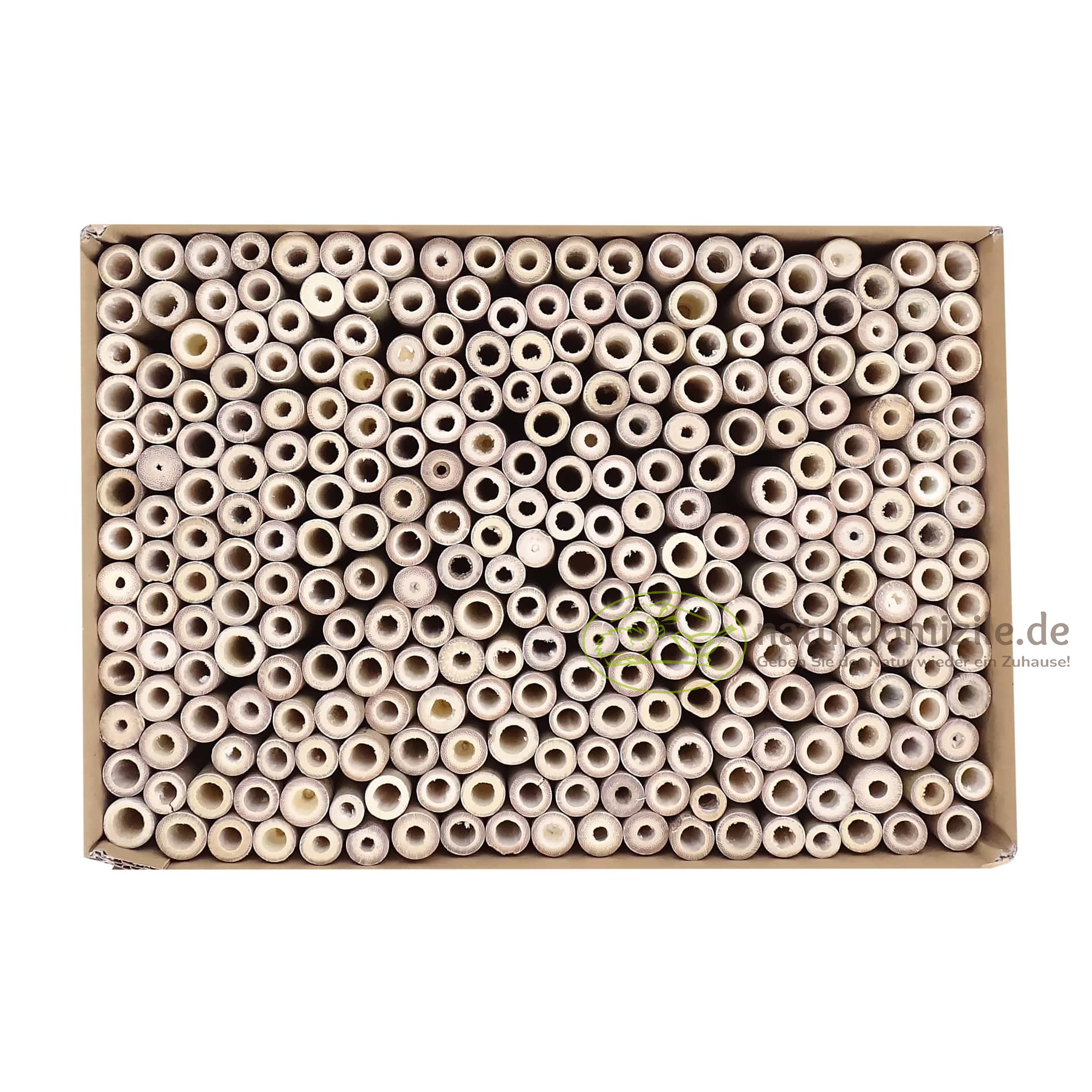Bambus großer Karton inkl. Wildbienenlehm