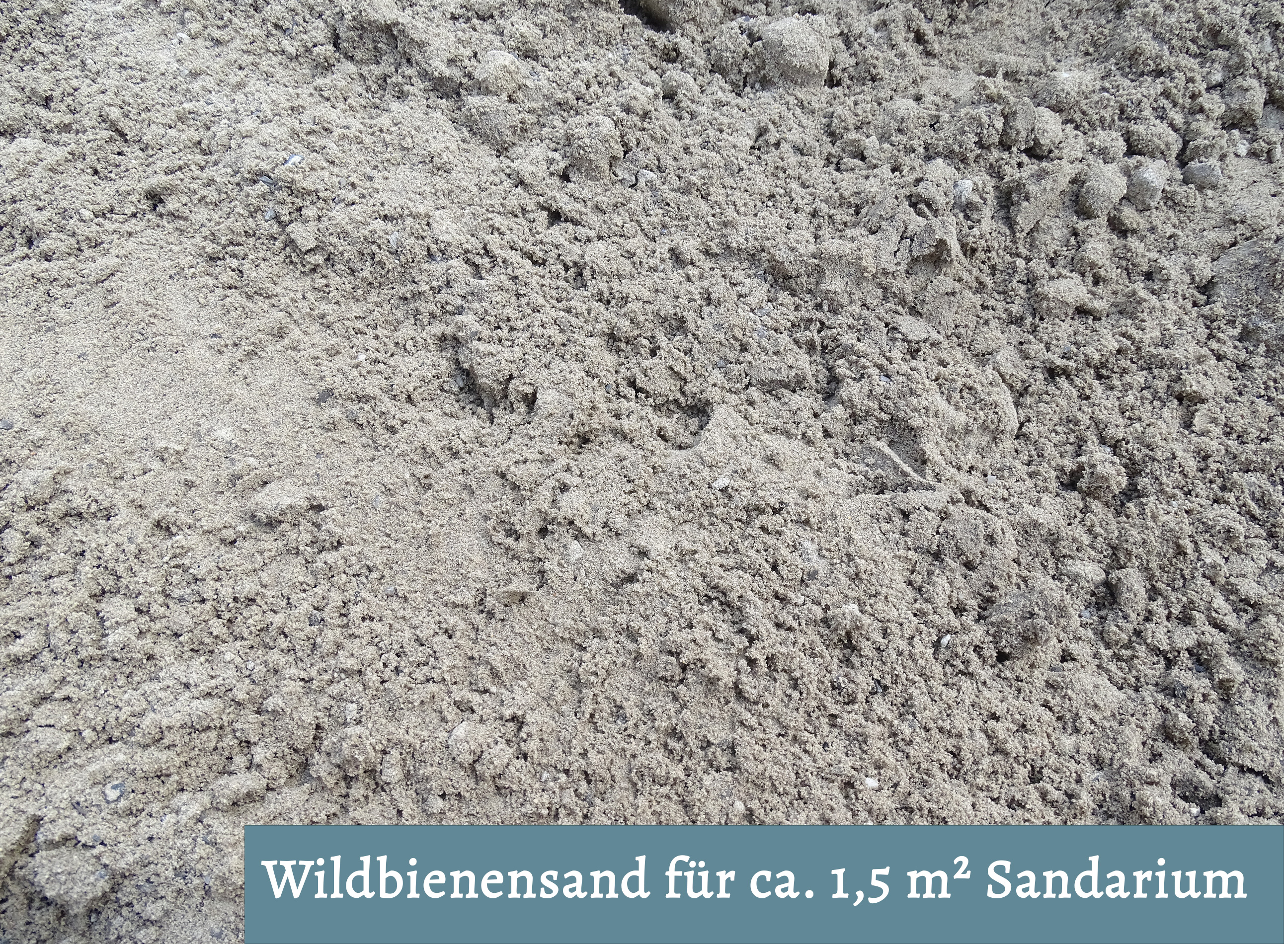Wildbienensand für Sandarium 1,5 m²